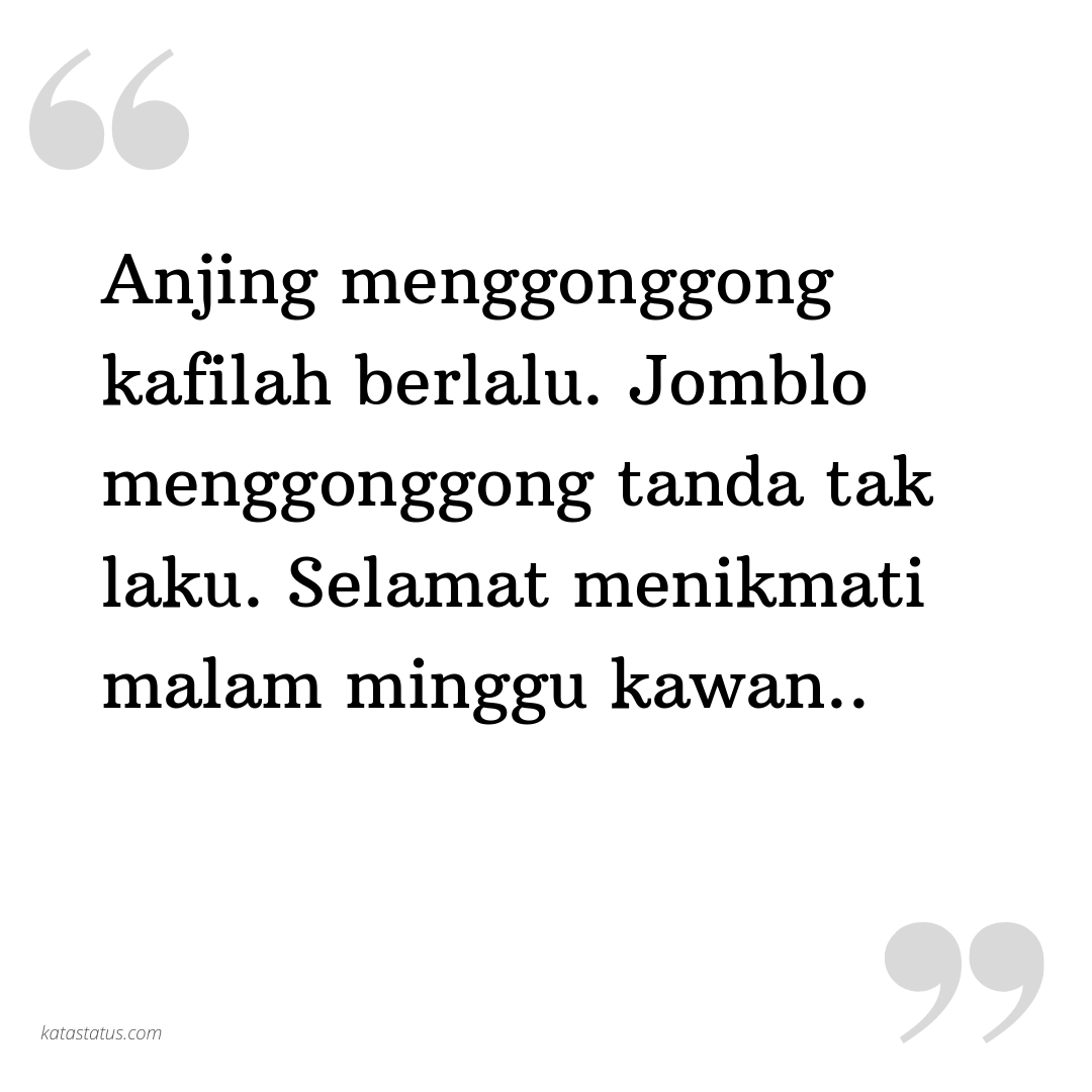 10 Kata Kata Bijak Tentang Anjing Menggonggong Kafilah Berlalu