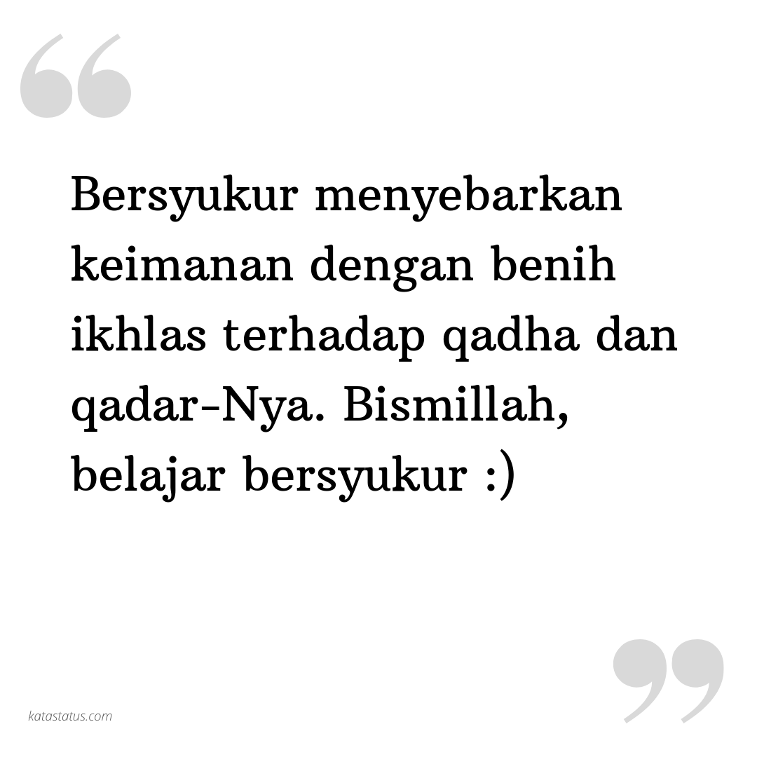 Kata Status Bersyukur Bersyukur Menyebarkan Keimanan Dengan Benih Ikhlas Terhadap Qadha Dan Qadar Nya Bismillah Belajar Bersyukur Katastatus Com