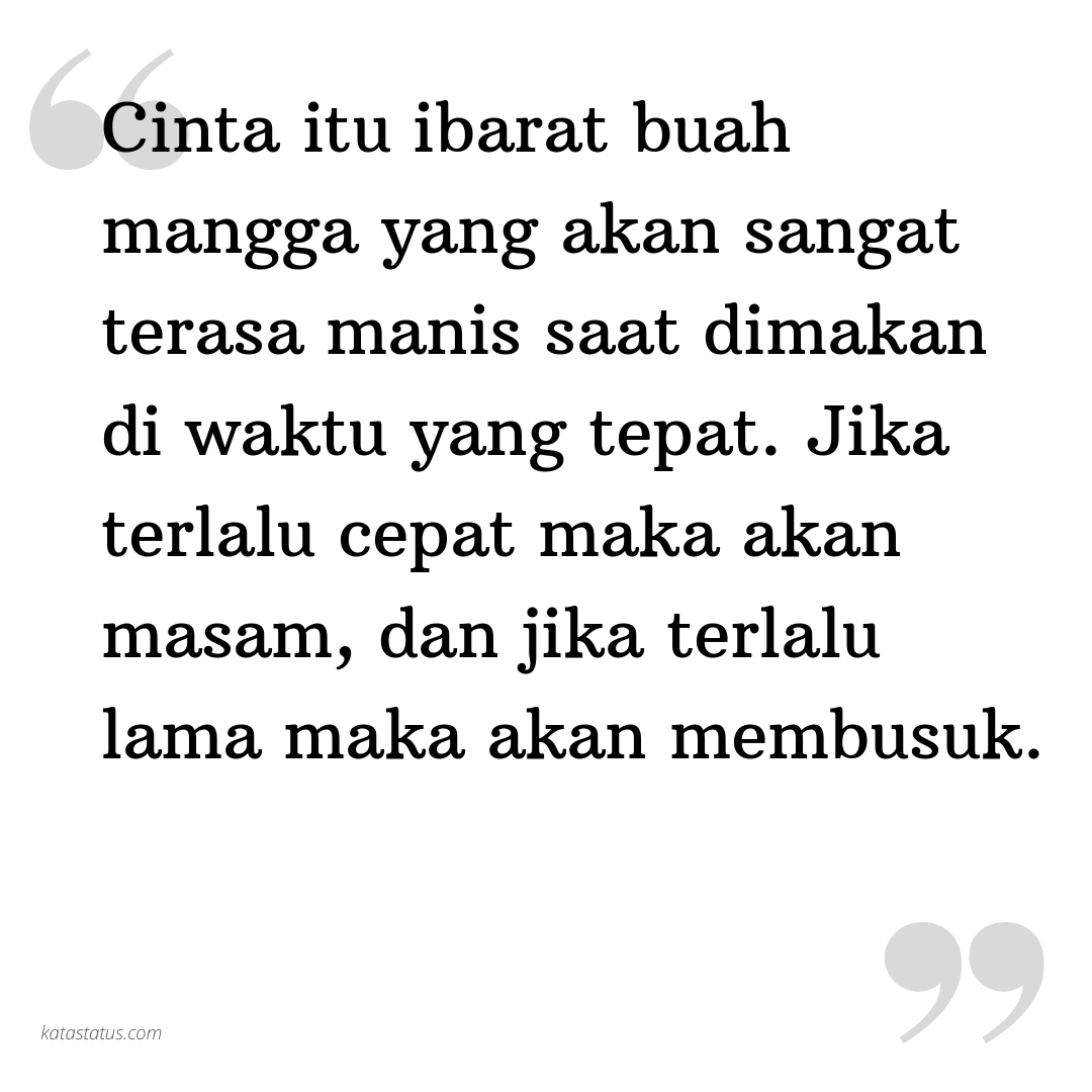 Kata Status Cinta Romantis Cinta Itu Ibarat Buah Mangga Yang Akan Sangat Terasa Manis Saat Dimakan Di Waktu Yang Tepat Jika Terlalu Cepat Maka Akan Masam