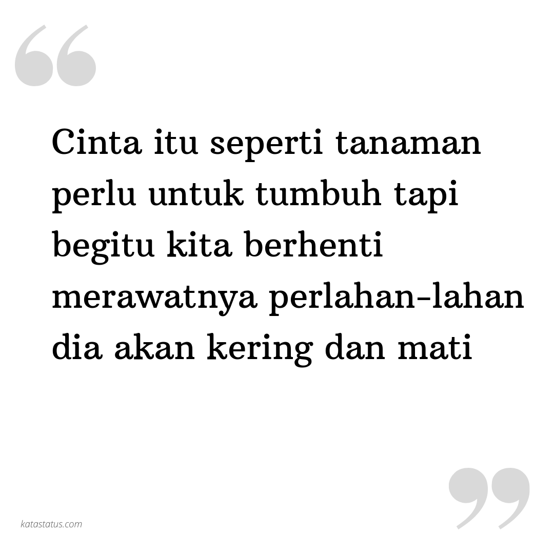 Kata Status Status Cinta Cinta Itu Seperti Tanaman Perlu Untuk Tumbuh Tapi Begitu Kita Berhenti Merawatnya Perlahan Lahan Dia Akan Kering Dan Mati KataStatusCOM