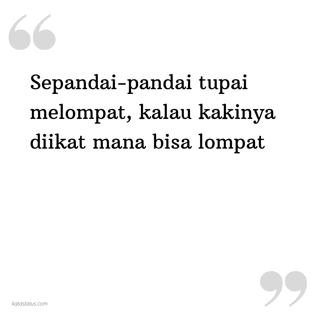 Kata Status Lucu Gokil Ngakak Sepandai Pandai Tupai Melompat