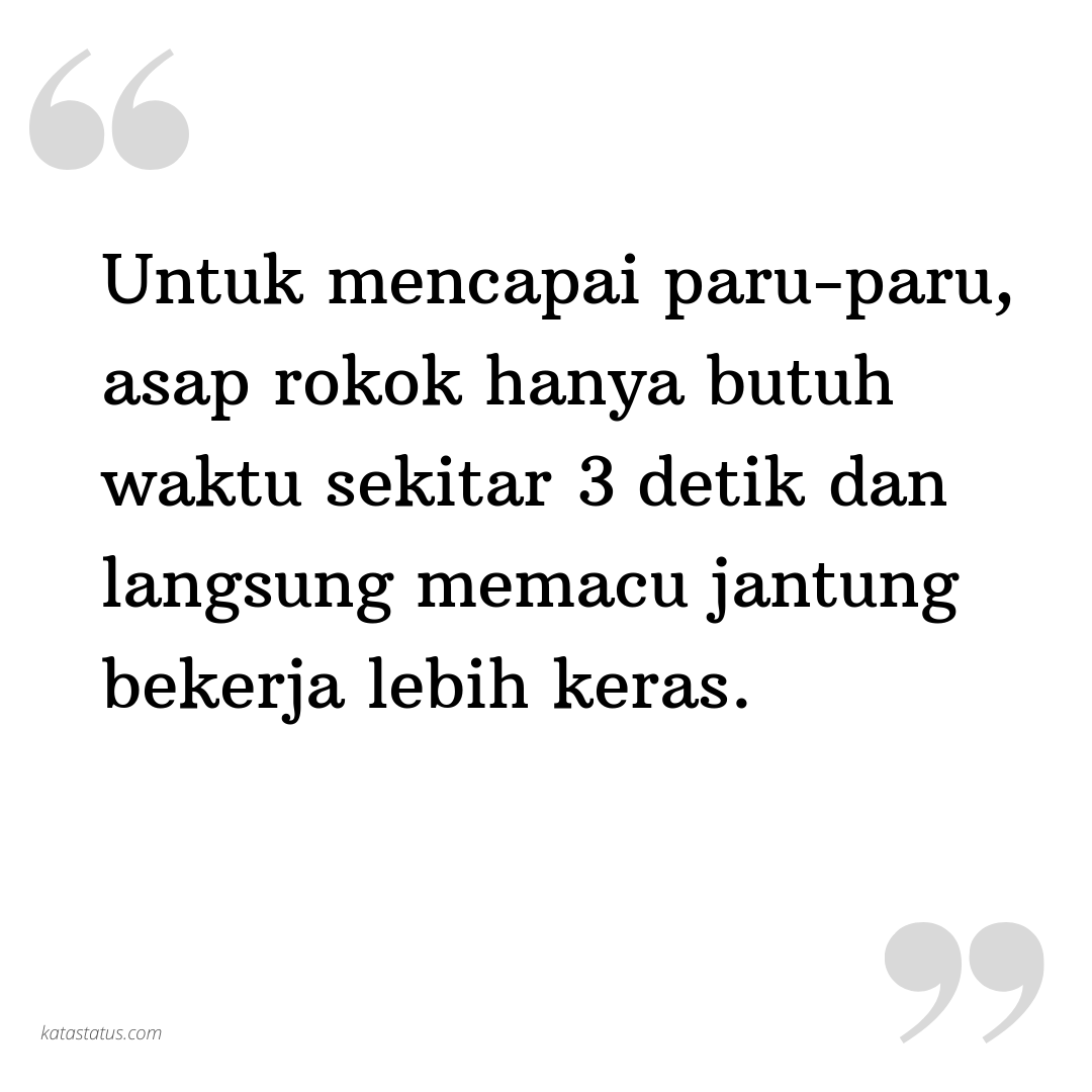 Kata Status Kata Bijak Untuk Mencapai Paru Paru